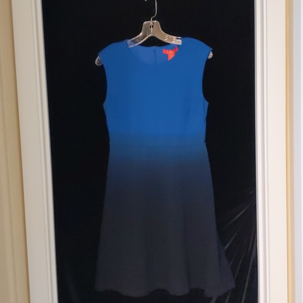 M Catherine Malandrino ombre dress